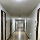 까망헤어 - 강릉시 | 수원역 속눈썹 까망래쉬 속눈썹펌 후기, 직모 속눈썹도 예쁘게 올라갔어요.