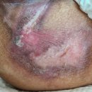 강서스마일재가센터 이미지