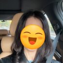 행복애견미용실 | 부산시청 양정역 미용실 루미아헤어 뿌리 염색 후기