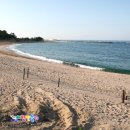 7번국도 이미지