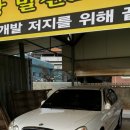 엘리강스 Daum카페