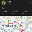 2024 서울마라톤(동마) 사진 및 기록 이미지