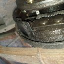 서울어린이대공원동물병원 이미지