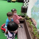 BR스쿨어린이집 이미지