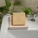 벨하이솝 이미지