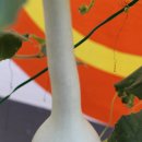 덕산주유소 이미지