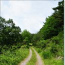 외씨버선길(장계향디미방길) 이미지