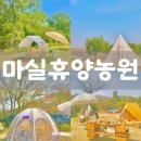 마실휴양농원 | 서울근교 애견동반 가능한 마실휴양농원 캠핑장 산책하고 힐링하기 좋은곳!