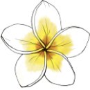 크리스마스 위빙 리스 이미지