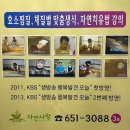롯데리아 대구안지랑 | 대구 효소찜질 추천! 남구 안지랑역 &#39;자연사랑&#39;