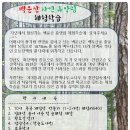 한국체대백궁태권도