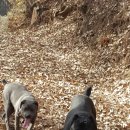 대복농장 이미지