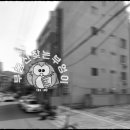 하단동197 이미지