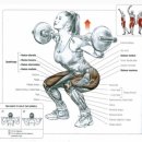 원파인짐 이미지