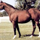 부마목장 이미지