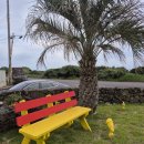 카페디앤디 이미지