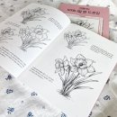 보타니컬 꽃 식물 드로잉 이미지