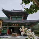 용담사 칠층석탑 이미지