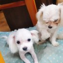 야미미용실 이미지