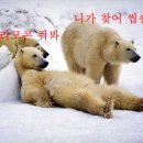 곰 이미지