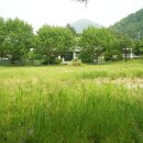 운정초등학교 이미지