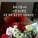행복 이미지