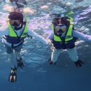 배들약국 이미지