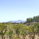 제주또올레 이미지