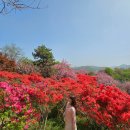 완산-18 이미지