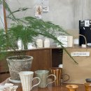 수련공방 | [대전 도자기 공방] 로 세라믹 클럽, Ro Ceramic Club 도예 체험 후기
