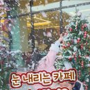 카페인 포레스트 본점 이미지