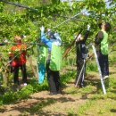 동문2리 이미지