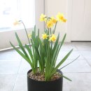 혜은농장 이미지