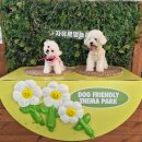 테마 애견 | 파주 애견카페 : 자유로멍놀러와 애견테마파크 ♩ 글램핑 + 대운동장 이용 후기