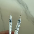 이룸병원 | [부산 시험관] 하단이룸여성병원 난자 채취 및 동결 이식 후기 (난자 채취 43개 복수 극복+비용 정산)