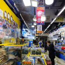 은하횟집 | 가락시장역 횟집 바가지 없는 가락몰은하수산 대광어 후기! 인어교주해적단 찐맛집