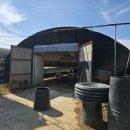 양계장농장 이미지