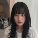 48 | 남양주 별내 허쉬펌 C컬펌 스타일 손질법 총정리