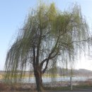 신대호수 이미지