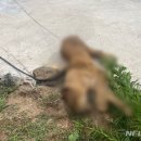 고령목장 이미지