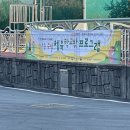 신나는학교 | 8세 신나는주말 체육 학교밖 프로그램 인라인스케이트 후기