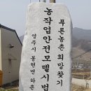 하촌농장 티스토리