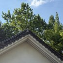 번데미 공원 이미지