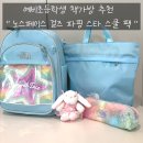 스타스쿨 | 예비초등학생 책가방 추천 노스페이스 걸즈 파핑 스타 스쿨 팩 NM2DS01S 내돈내산후기
