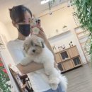그랑프리당구장 이미지