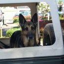 웰페어숍 이미지