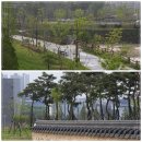 붓내공원 이미지