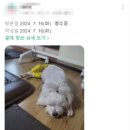 안양비산동물병원 이미지