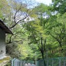 연제구-138 이미지