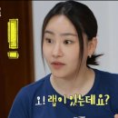에이비씨지 이미지